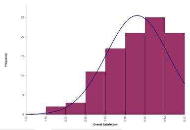 Histogram